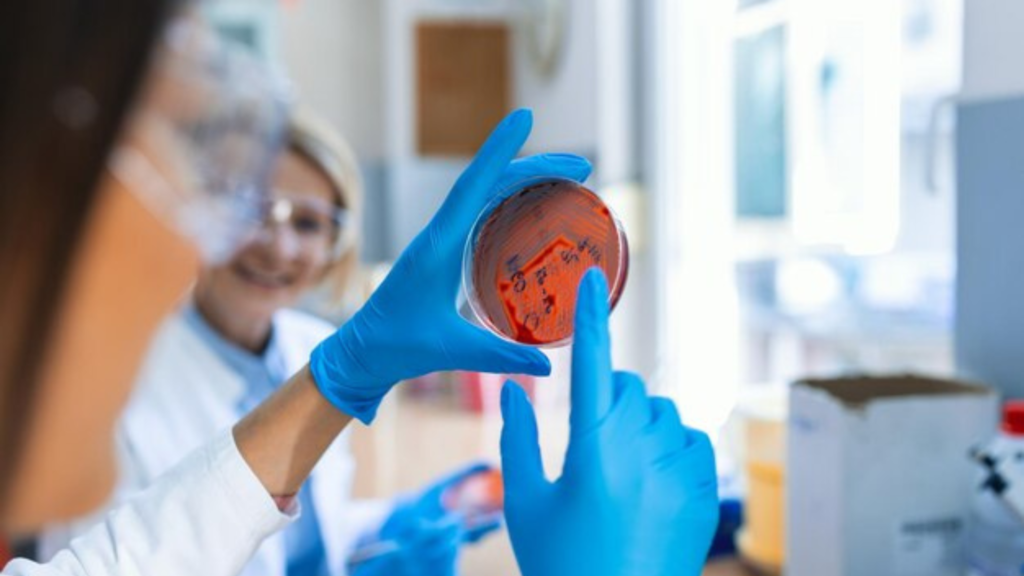 Challenges in Bioprinting Organ Transplants